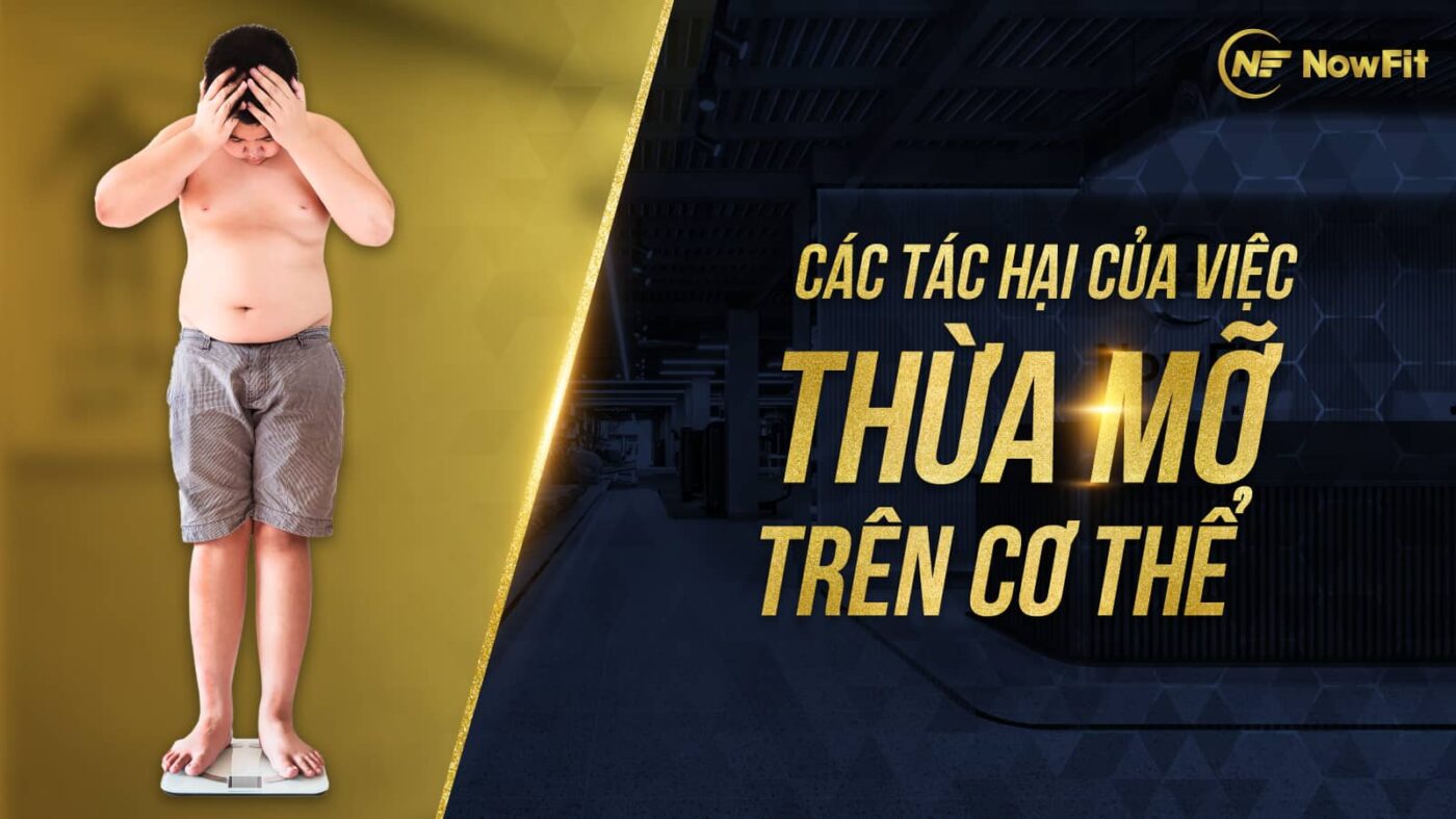 Các tác hại của việc thừa mỡ trên cơ thể