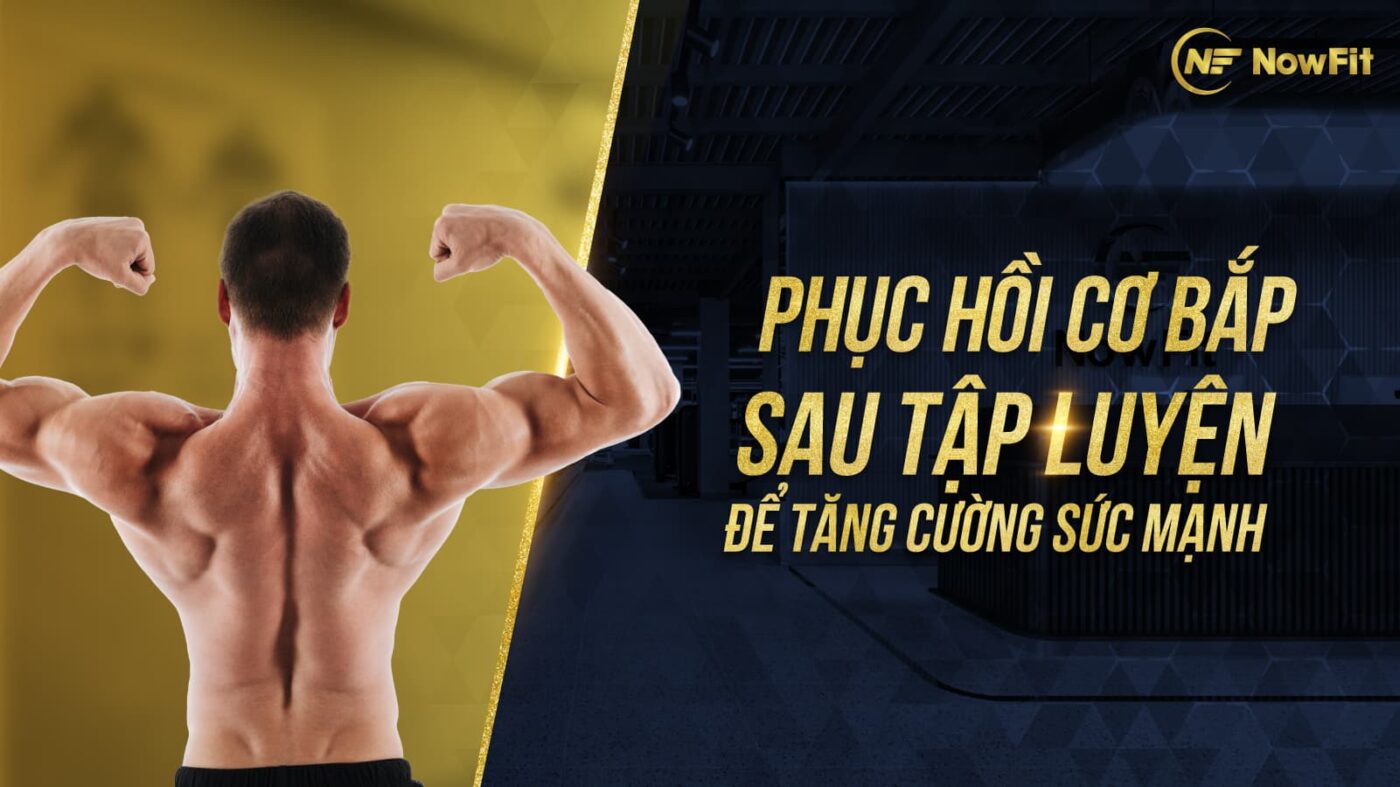 Phục hồi cơ bắp sau tập luyện để tăng cường sức mạnh