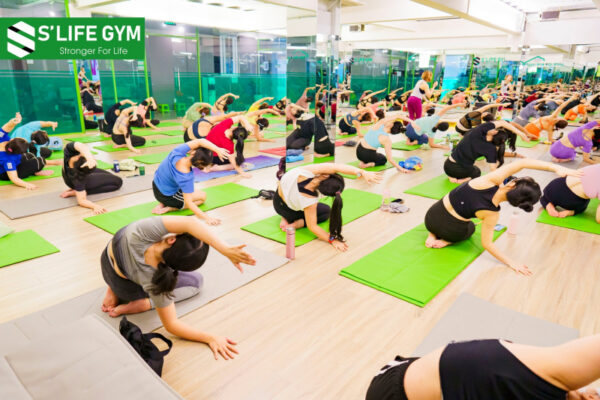 Lớp Yoga tại S'Life Gym